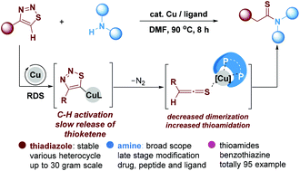 Graphical abstract: Thioamide synthesis via copper-catalyzed C–H activation of 1,2,3-thiadiazoles enabled by slow release and capture of thioketenes