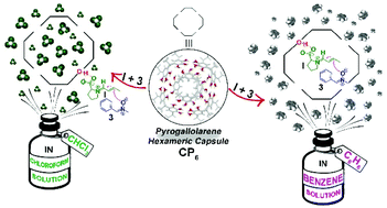 Graphical abstract: Supramolecular catalysis in confined space: making the pyrogallol[4]arene capsule catalytically active in non-competitive solvent