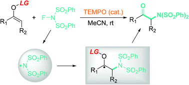 Graphical abstract: Nitrogen-centered radical-mediated α-sulfonimidation of ketones