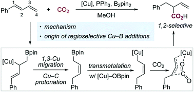 Graphical abstract: Computational study of Cu-catalyzed 1,2-hydrocarboxylation of 1,3-dienes with CO2: Pauli repulsion-controlled regioselectivity of Cu–Bpin additions
