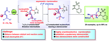 Graphical abstract: Highly enantioselective δ-protonation and formal [3 + 3] annulation promoted by N-heterocyclic carbene