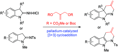 Graphical abstract: Palladium-catalyzed [3 + 3] annulations of 1-alkyl-indolin-2-imines and dialkyl (2-methylenepropane-1,3-diyl) dicarbonates