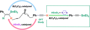 Graphical abstract: Reaction mechanism study on reactions of phenylacetylenes with HSnEt3 promoted by B(C6F5)3 with and without DABCO