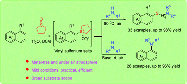 Graphical abstract: Selective synthesis of alkyl amines and N-vinylazoles from vinyl sulfonium salts with N-nucleophiles
