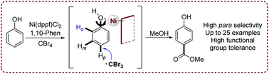Graphical abstract: Nickel-catalyzed para-selective carboxylation of phenols with CBr4/MeOH