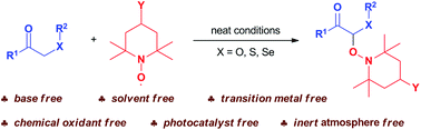 Graphical abstract: Efficient radical C(sp3)–H α-oxyamination of carbonyls adjacent to the carbon chalcogen bond