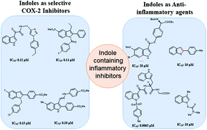 Graphical abstract: The indole nucleus as a selective COX-2 inhibitor and anti-inflammatory agent (2011–2022)