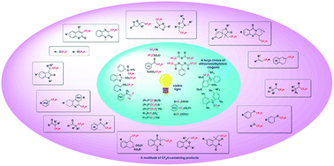 Graphical abstract: State of knowledge in photoredox-catalysed direct difluoromethylation