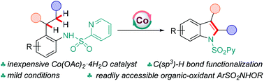 Graphical abstract: Cobalt-catalyzed C(sp3)–H bond functionalization to access indole derivatives