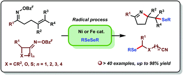 Graphical abstract: Ni and Fe catalyzed cascade radical reactions of oxime esters with diselenides