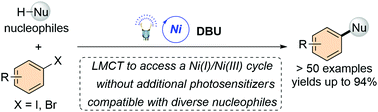 Graphical abstract: Visible light-induced Ni-catalyzed C–heteroatom cross-coupling of aryl halides via LMCT with DBU to access a Ni(i)/Ni(iii) cycle