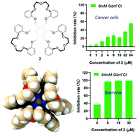 Graphical abstract: Trimacrocyclic hexasubstituted benzenes for recognition of guanidinium and their anti-cancer and antimicrobial activities