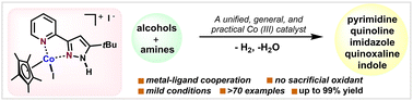 Graphical abstract: A general and practical bifunctional cobalt catalytic system for N-heterocycle assembly via acceptorless dehydrogenation