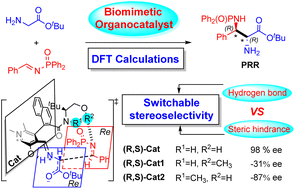 Graphical abstract: The chiral pyridoxal-catalyzed biomimetic Mannich reaction: the mechanism and origin of stereoselectivity