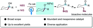 Graphical abstract: Photoinduced Fe-catalyzed bromination and iodination of unstrained cyclic alcohols