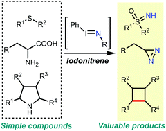 Graphical abstract: Iodonitrene: a direct metal-free electrophilic aminating reagent