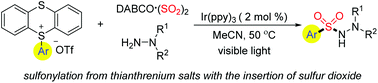 Graphical abstract: Photoredox-catalyzed reaction of thianthrenium salts, sulfur dioxide and hydrazines