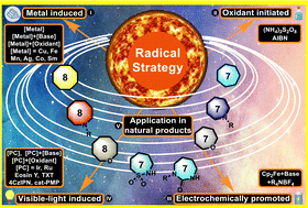 Graphical abstract: The synthesis of seven- and eight-membered rings by radical strategies