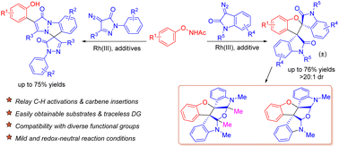 Graphical abstract: Coupling partner-dependent unsymmetrical C–H functionalization of N-phenoxyacetamides leading to sophisticated spirocyclic scaffolds