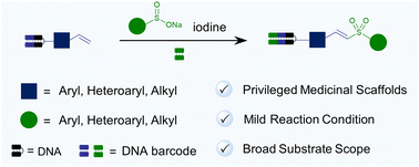 Graphical abstract: Development of on-DNA vinyl sulfone synthesis for DNA-encoded chemical libraries