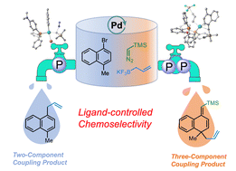 Graphical abstract: What is the difference between mono- and biphosphine ligands? Revealing the chemoselectivity in Pd-catalysed carbenation of bromonaphthalene