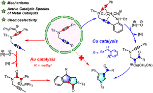 Graphical abstract: Theoretical insights into the mechanism and origin of chemoselectivity in the catalyst- and directing group-dependent oxidative cyclization of diynes with pyridine N-oxides