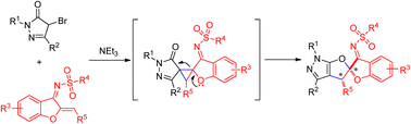 Graphical abstract: Construction of pyrazole fused spiroketals by a (3 + 2) annulation reaction