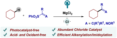 Graphical abstract: Neutrally photoinduced MgCl2-catalyzed alkenylation and imidoylation of alkanes