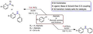 Graphical abstract: Unification of Ullmann and Kharasch coupling: acid promoted CuI catalysed C–N coupling protocols under ligand, base and solvent free conditions