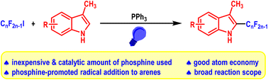 Graphical abstract: Visible light-induced phosphine-catalyzed perfluoroalkylation of indoles