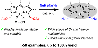 Graphical abstract: Acetoxymethyl-BODIPY dyes: a universal platform for the fluorescent labeling of nucleophiles