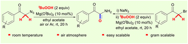 Graphical abstract: Mg(OtBu)2-catalyzed C–H oxidation of α-azido arylethanones using TBHP as the oxidant and carbonyl oxygen source: facile access to primary α-ketoamides