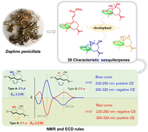 Graphical abstract: Characteristic guaiane sesquiterpenes from Daphne penicillata and ECD/NMR-based assignment of C-1 configuration
