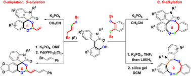 Graphical abstract: Switchable construction of oxa-heterocycles with diverse ring sizes via chemoselective cyclization controlled by dibrominated compounds