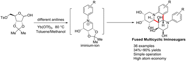 Graphical abstract: Efficient one-pot synthesis of the unexpected fused multicyclic iminosugars by an aza-Diels–Alder mechanism