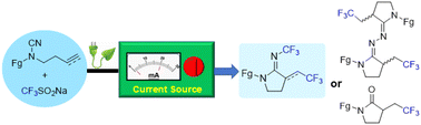 Graphical abstract: Electrochemical cyclization of N-cyanamide alkenes with CF3SO2Na to access C,N-(bis)trifluoromethylated cyclic amidines and related compounds