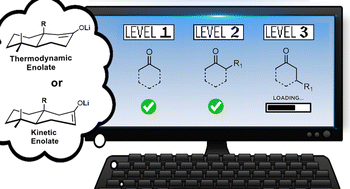 Graphical abstract: Kinetic vs. thermodynamic control of β-functionalized cyclic ketones: a theoretical investigation of regioselective formation of enolates