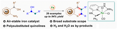 Graphical abstract: Iron-catalysed quinoline synthesis via acceptorless dehydrogenative coupling