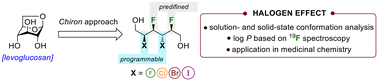 Graphical abstract: Fundamental curiosity of multivicinal inter-halide stereocenters