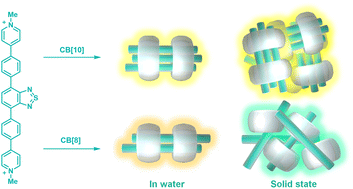 Graphical abstract: CB[10]-driven self-assembly of a homotrimer from a symmetric organic dye: tunable multicolor fluorescence and higher solid-state stability than that of a CB[8]-included homodimer