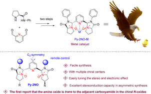Graphical abstract: New tertiary amine-derived C2-symmetric chiral pyridine-N,N′-dioxide ligands and their applications in asymmetric catalysis