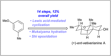 Graphical abstract: Total synthesis of (+)-ent-vetiverianine a via Lewis acid-mediated cyclization