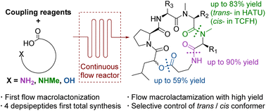 Graphical abstract: Rapid mild macrocyclization of depsipeptides under continuous flow: total syntheses of five cyclodepsipeptides