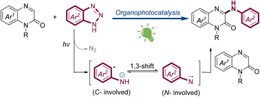 Graphical abstract: Visible-light-photocatalysis driven denitrogenative/radical 1,3-shift of benzotriazole: access to 3-aryl-aminoquinoxalin-2(1H)-one scaffolds