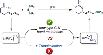 Graphical abstract: C–N bond metathesis: mechanistic insight into palladium-catalyzed ring-closing using aminal species