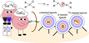 Graphical abstract: Atom-economical synthesis of 1,2-bis(phosphine oxide)ethanes from calcium carbide with straightforward access to deuterium- and 13C-labeled bidentate phosphorus ligands and metal complexes