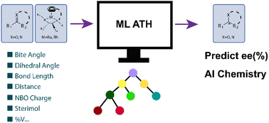 Graphical abstract: Prediction of the enantiomeric excess value for asymmetric transfer hydrogenation based on machine learning