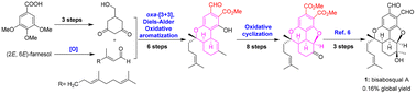 Graphical abstract: Bio-inspired formal total synthesis of (±)-bisabosqual A