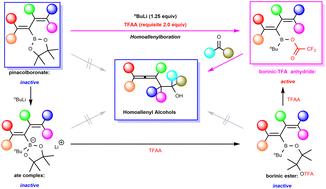 Graphical abstract: Homoallenylboration of carbonyl compounds using inert 2-pinacolateboryl 1,3-butadienes via in situ generated borinic–TFA mixed anhydrides: efficient synthesis of homoallenyl alcohols