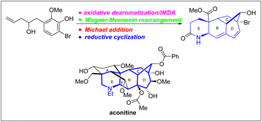 Graphical abstract: Aconitine synthesis studies. A modeling construction of the functionalized BCDE tetracyclic ring system